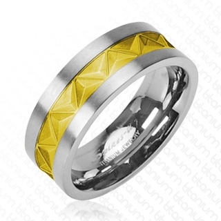 Bague homme titane Inspiration Maya
