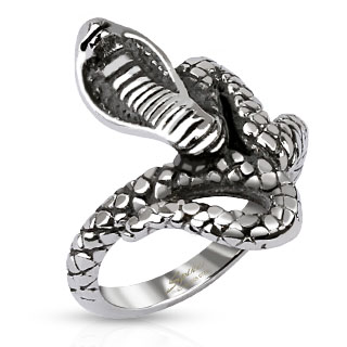 Bague mixte en acier avec cobra enroul�
