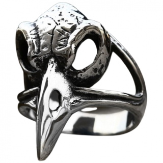 Bague homme acier Crane de Corbeau