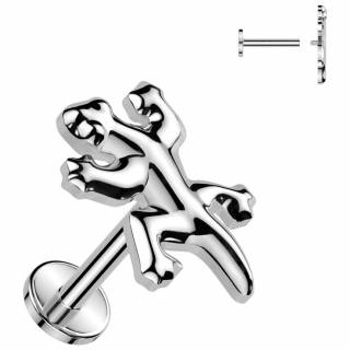 Piercing labret Titane � L�zard Gecko (l�vre et oreille)